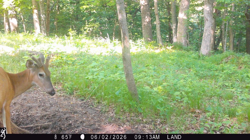 Picture 19