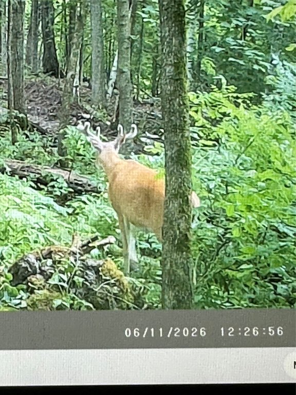 Picture 14
