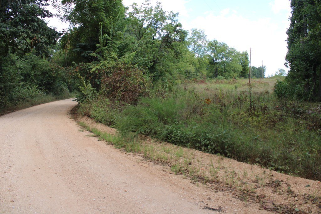 Ozark Land Near Buffalo River