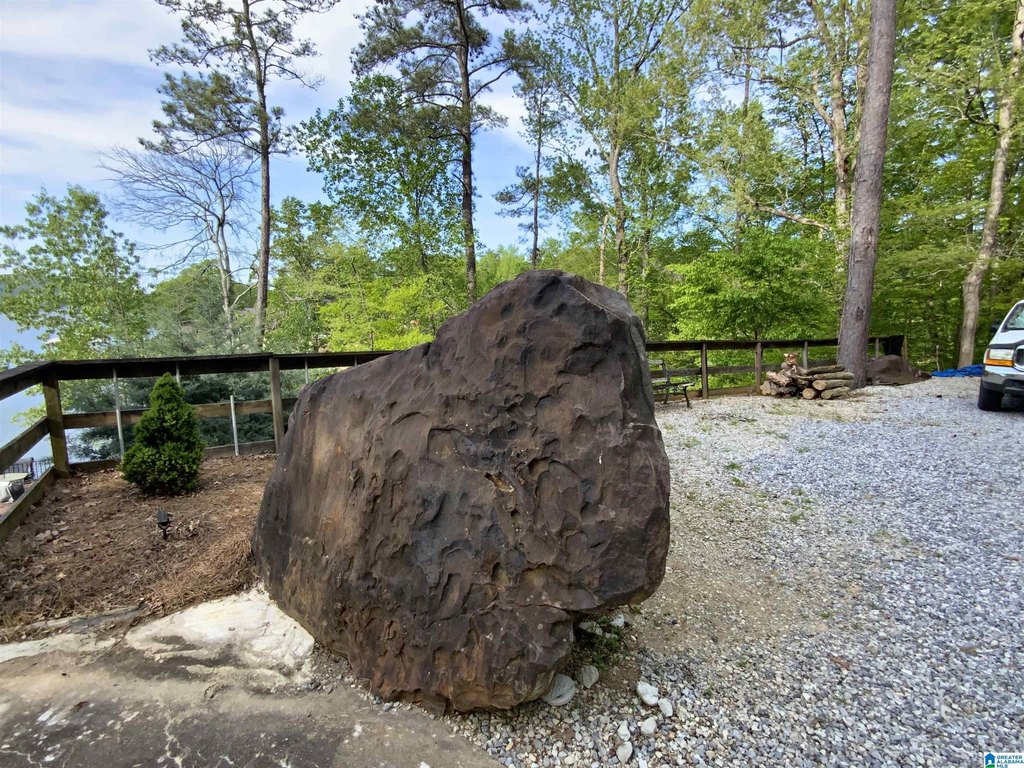 Picture 20