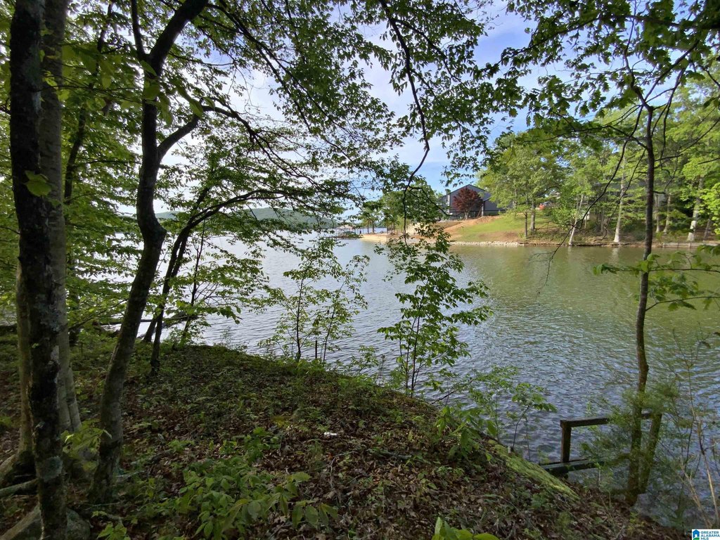 Picture 7