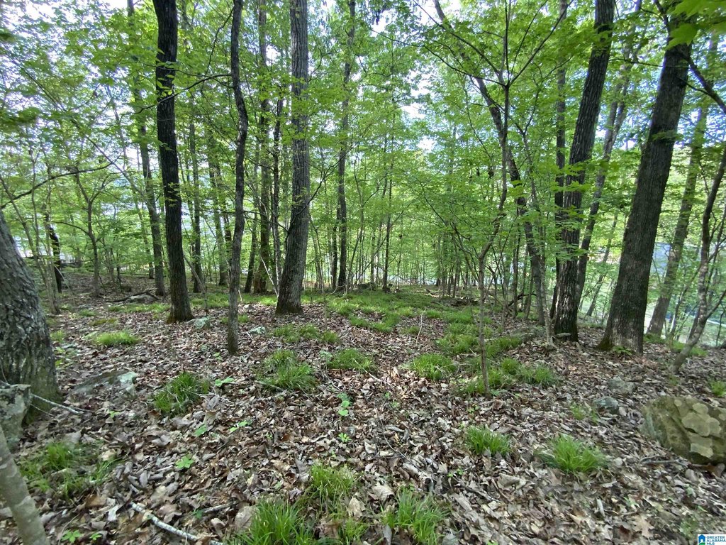 Picture 31