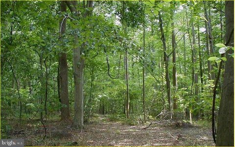 Agricultural Land with Woodland Parcels