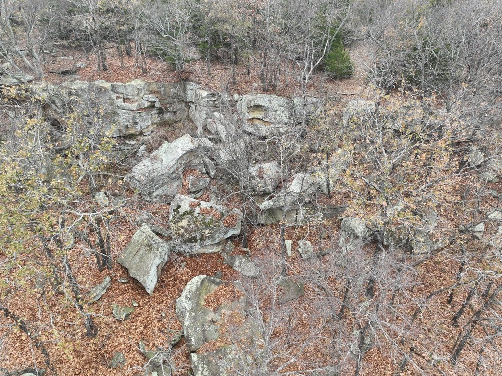 Picture 21