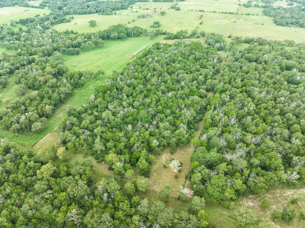 Schulenburg Acreage with Utilities