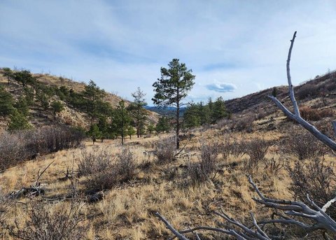 Land with Mountain View Potential