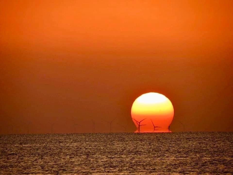 Picture 3