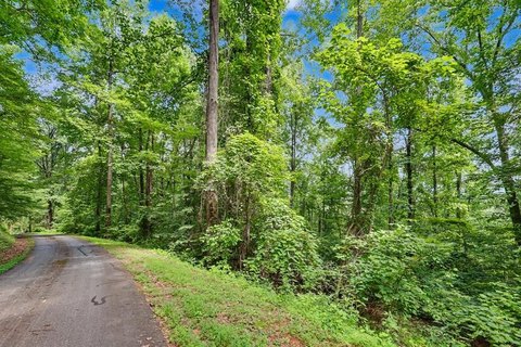 Wooded Homesite With Gently Sloping Terrain