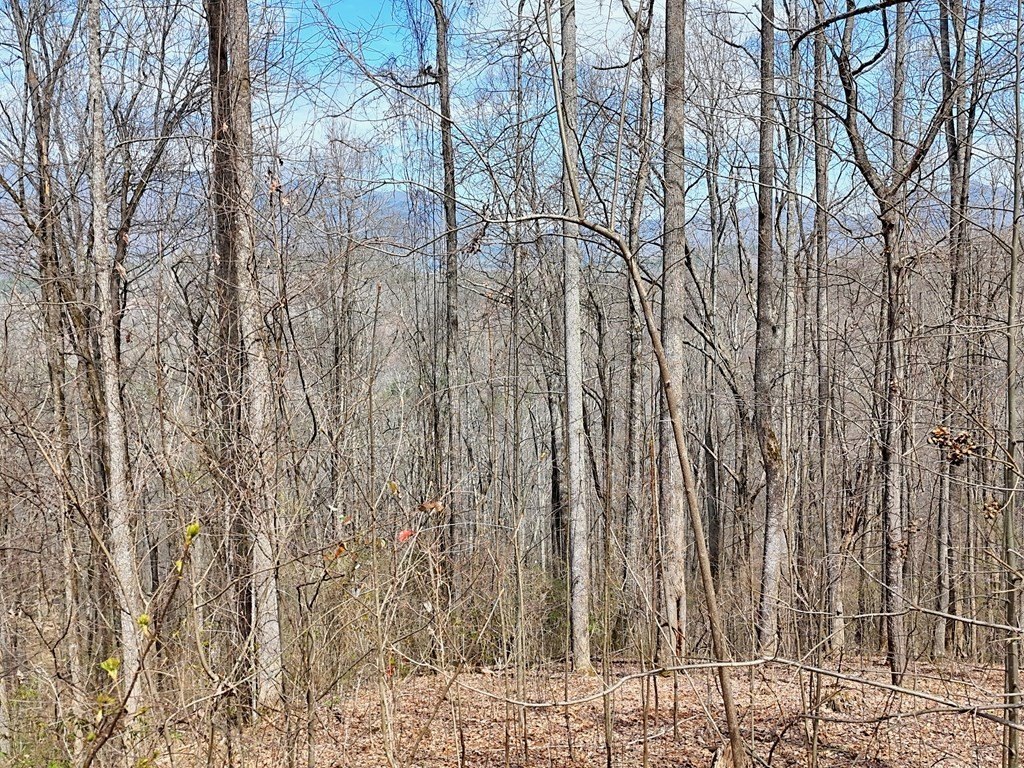 Picture 12