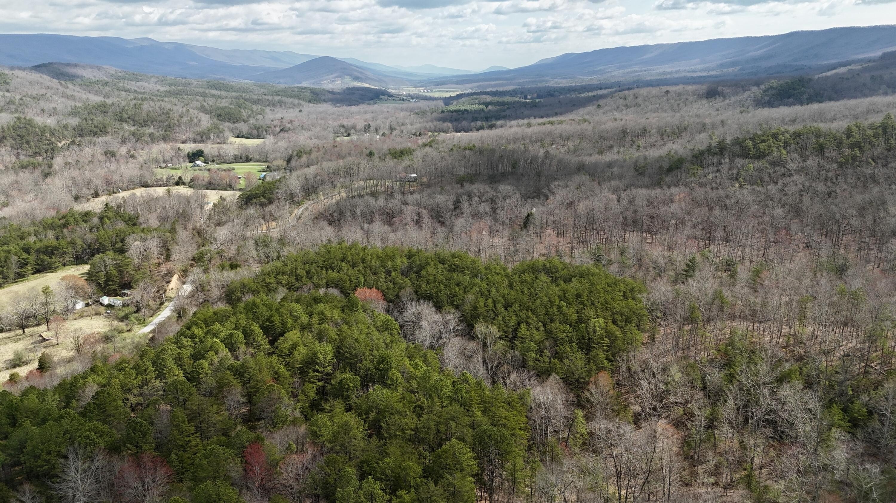58.93 Acres in Craig County