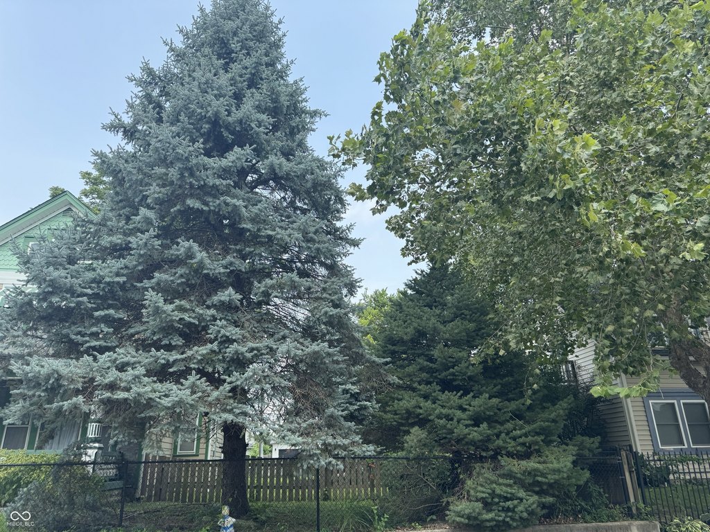 Picture 2