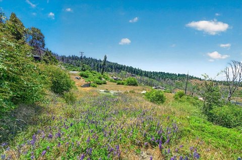 LAND - Shaver Lake, CA