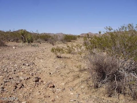 Land, Seligman, AZ
