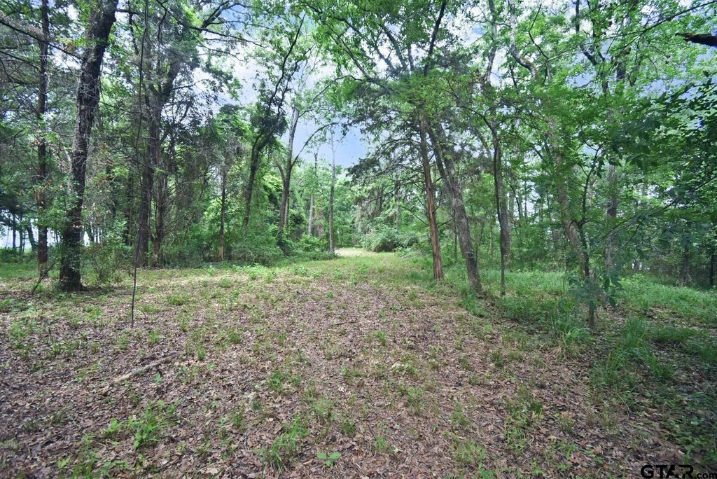 Picture 6