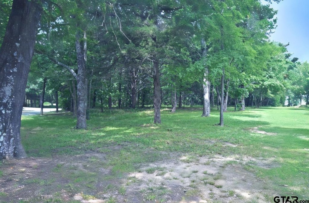 Picture 4