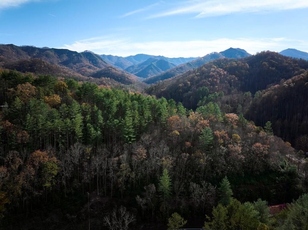 Ridge Top Lot with Views