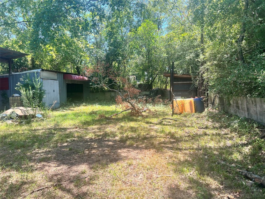 Picture 19