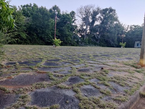 Large Lot in Palestine, TX