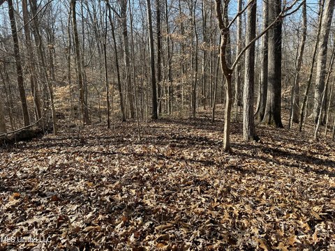 Land, Hernando, MS