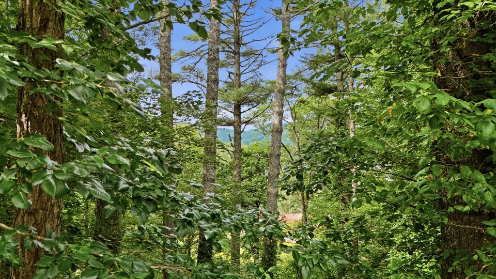 Picture 25