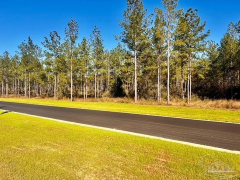 Heavily Wooded 15-Acre Lot