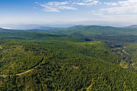 Heavily Treed Recreational Land