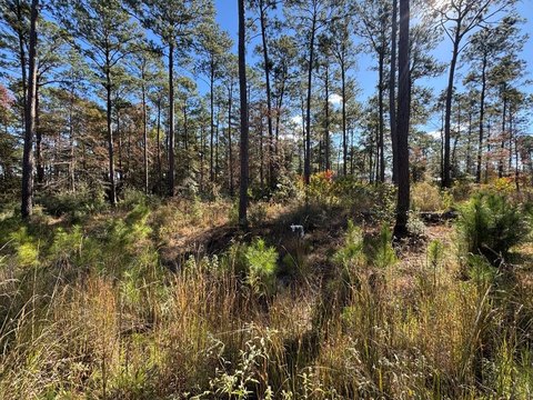 Brookeland, TX Acreage Lot