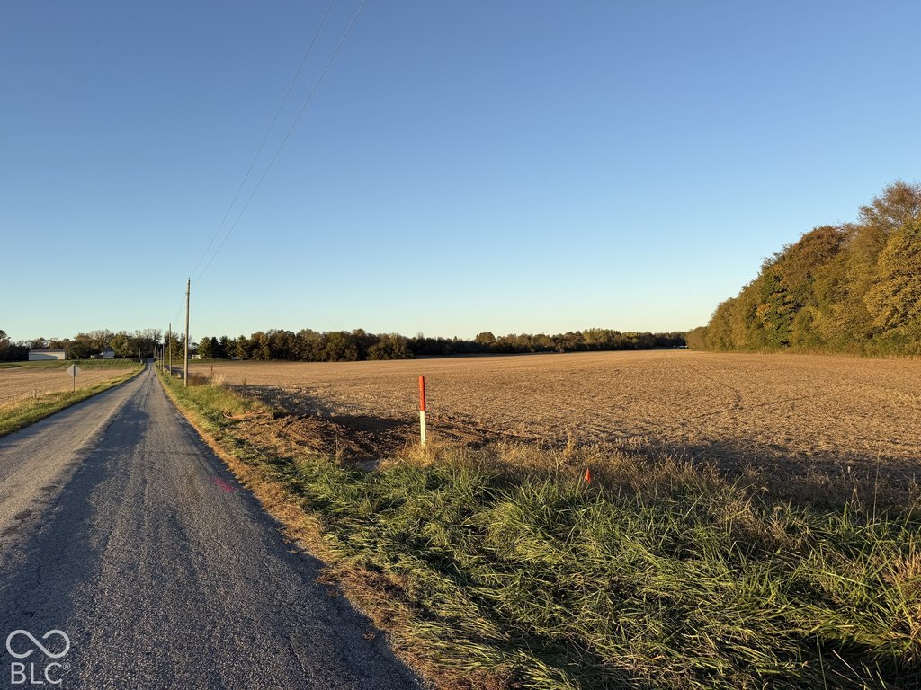 Picture 14