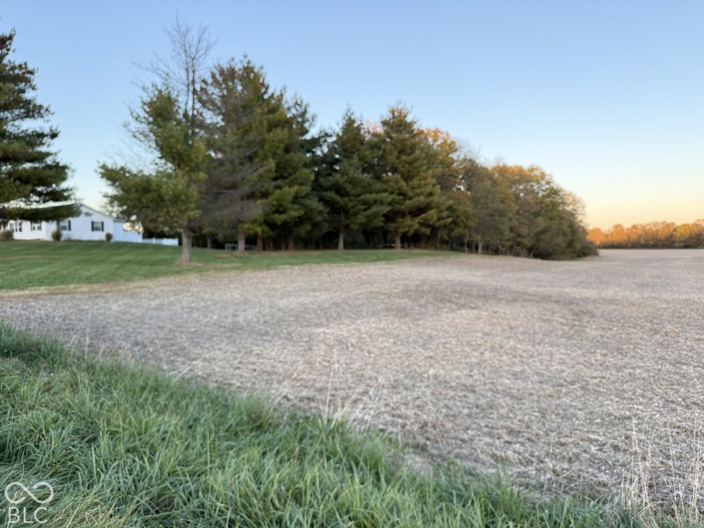 Picture 8