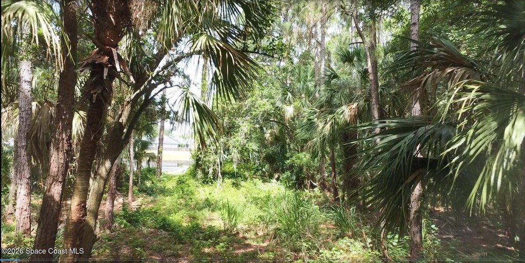 Picture 2
