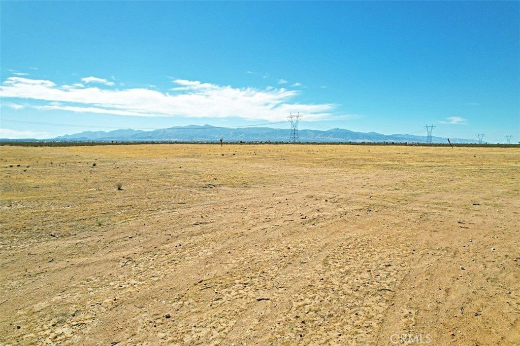 Picture 9