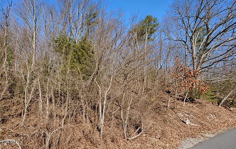 Land, Hiltons, VA