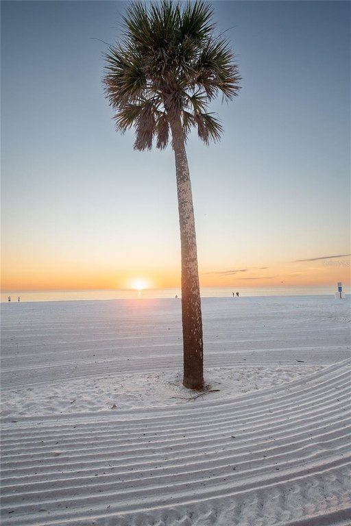 Picture 31