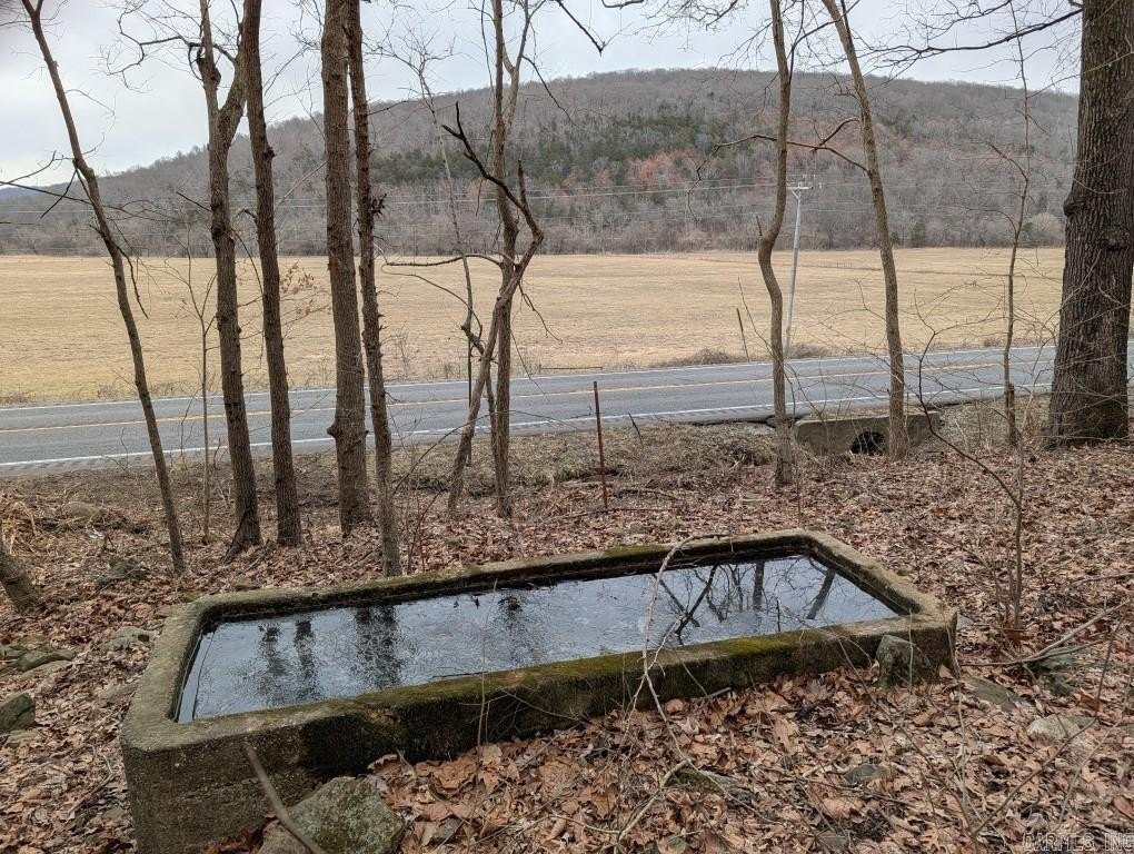 Picture 5