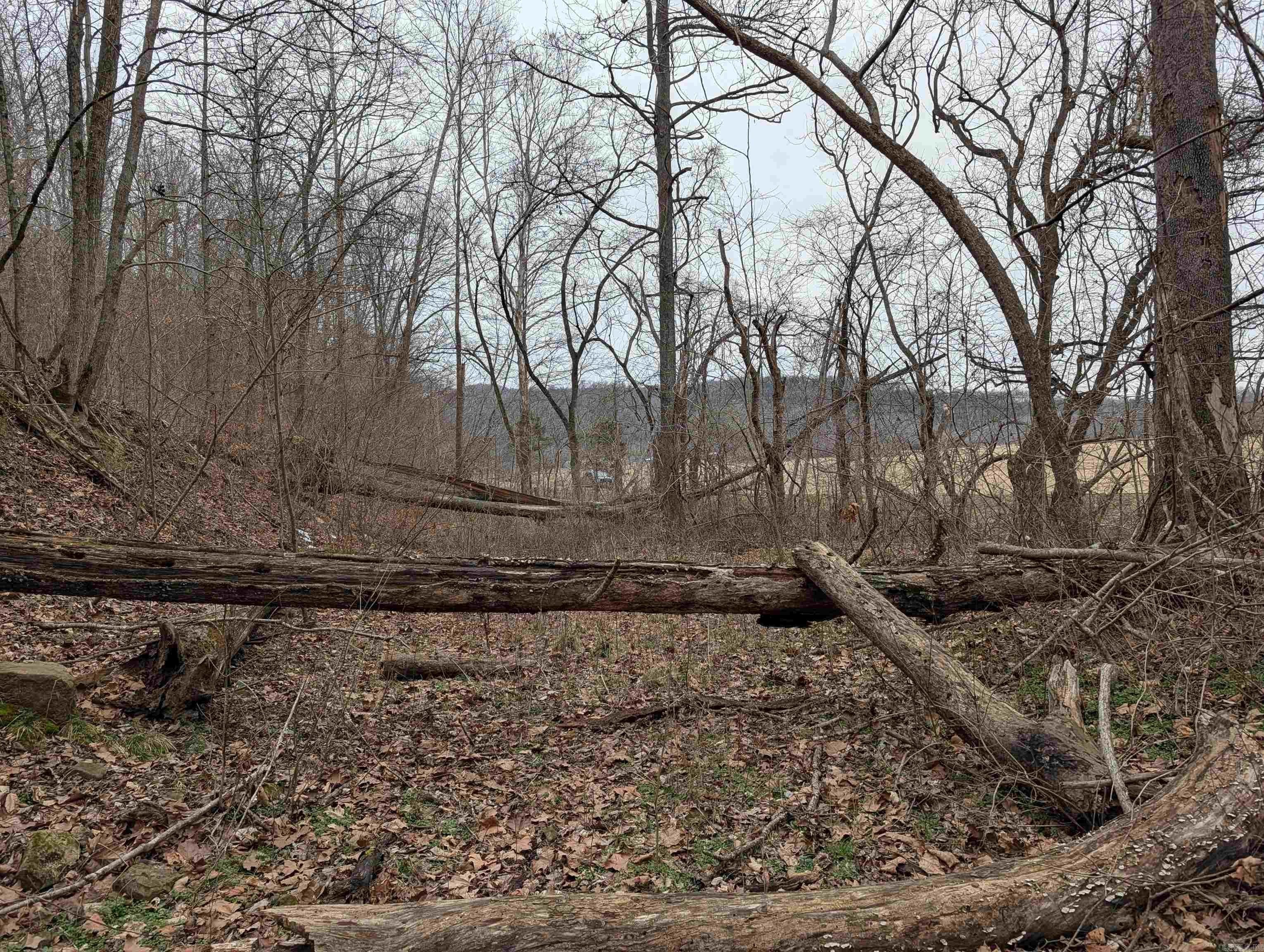 70 Acres on Highway 412