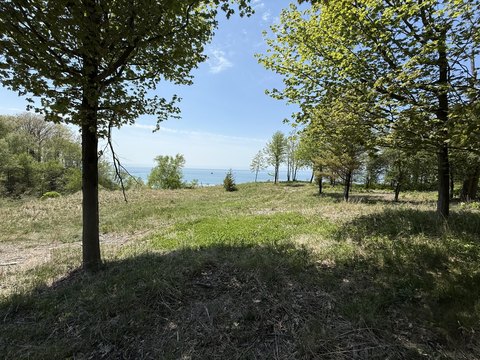 Lake Michigan Land For Sale