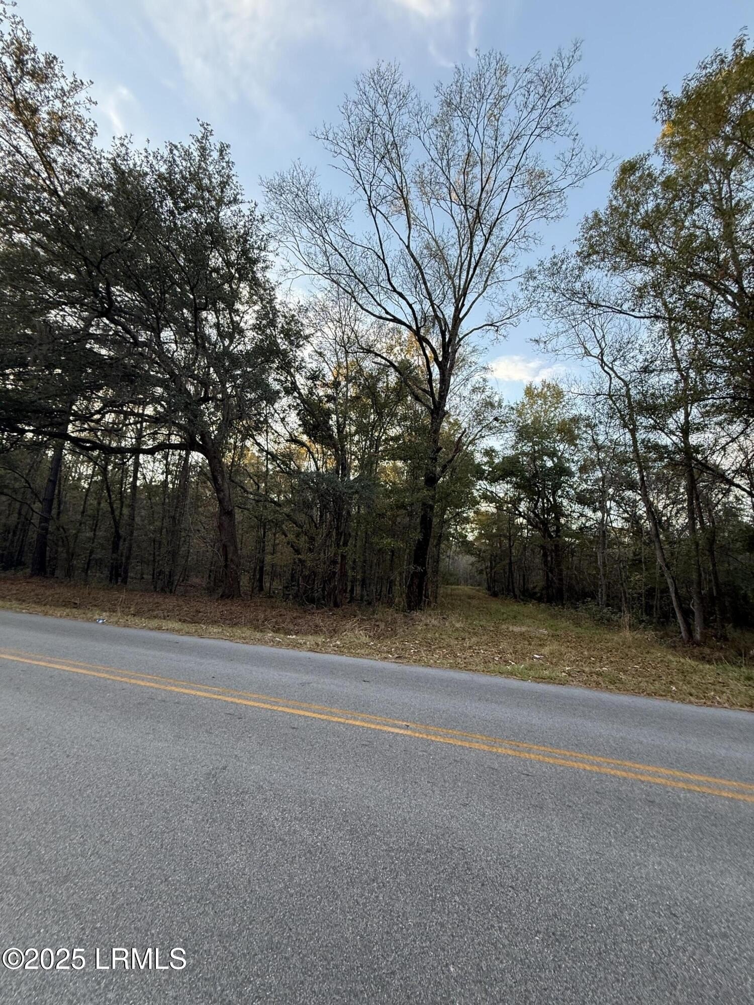 Residential Land in Yemassee, SC