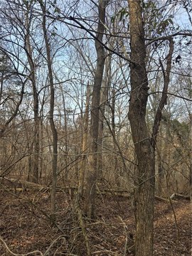 Wooded Lot Near Beaver Lake