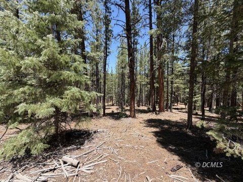 Wooded Recreation Corner Lot