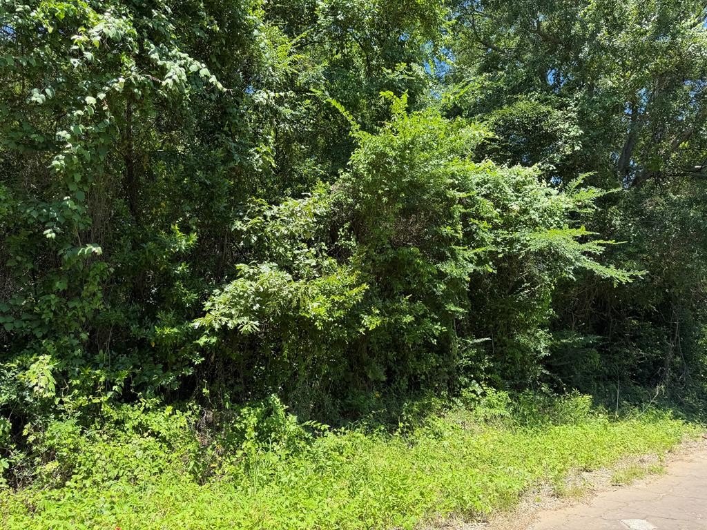 Residential Land in Palestine, TX