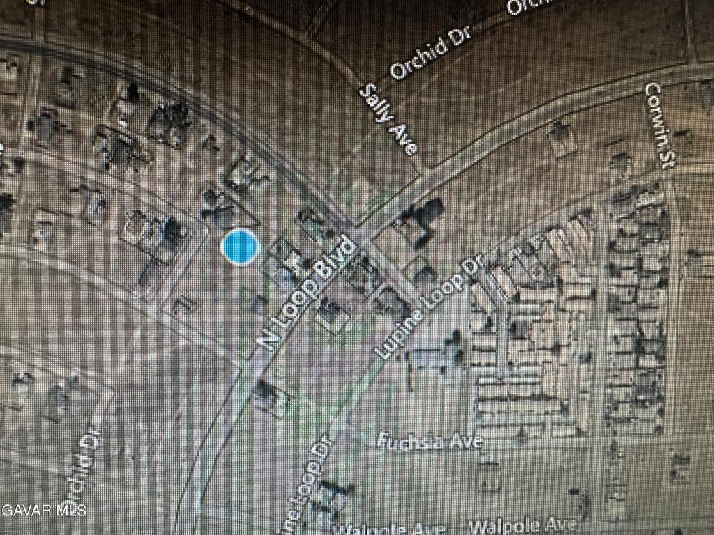 Picture 3