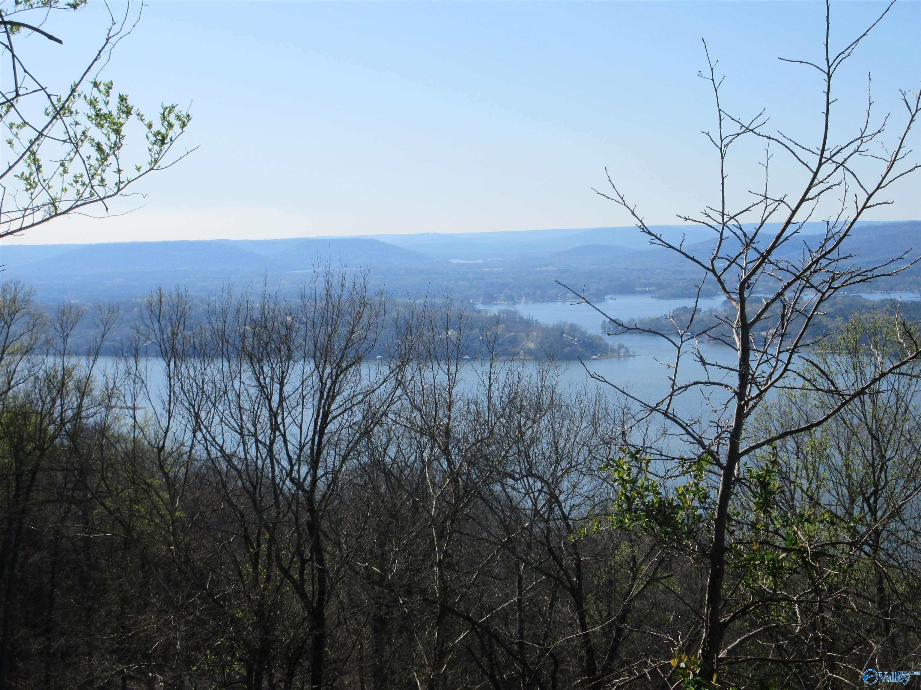 Bluff Lot with River View