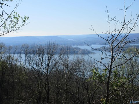 Bluff Lot with River View