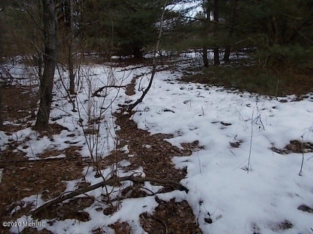 Picture 16