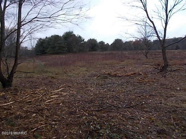 Picture 10
