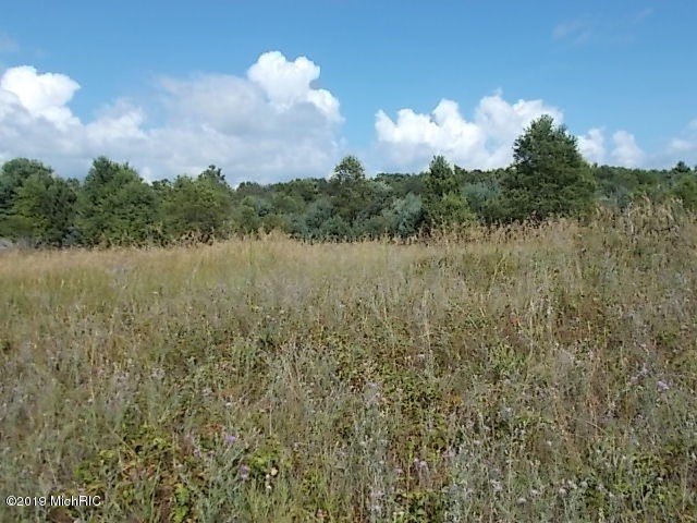 Picture 7
