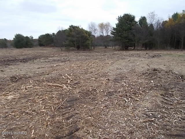 Picture 15