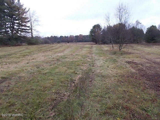 Picture 9
