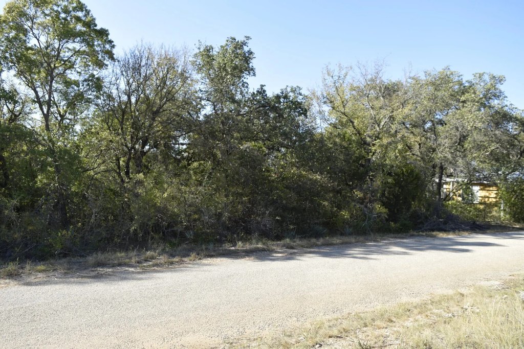 Picture 21