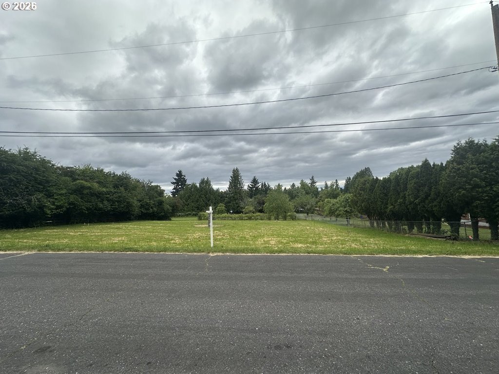 Picture 3